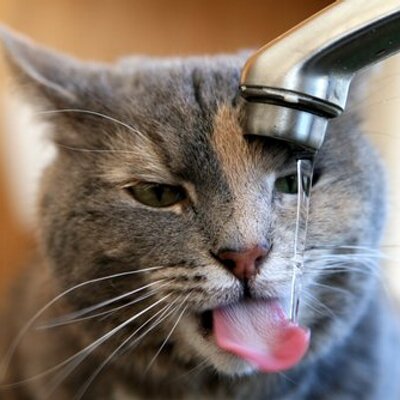 DmitriyVt's profile image