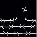 Bernard André - @bernard_andre - Twitter