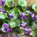 Carmen Ferrán - @ferranegon - Twitter