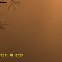 Tara Capone - @TaraCapone - Twitter