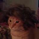 erin mcwilliams - @erinmcwilliams - Twitter