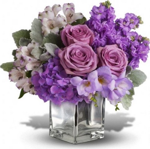 Lilyfleur_Kw's profile picture. A flower shop n kuwait since 2009 ..to place ur  order plz call 67633117 or check our facebook page 