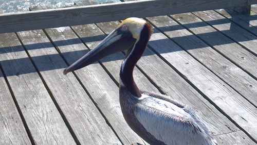 mattjones_matt's profile picture. Love saltwater fishing, building fishing rods and my wife and kids, not necessarily in that order.