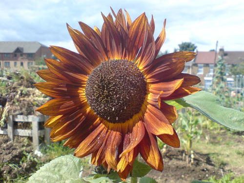 RaniKawale2's profile picture. British. Indian. Londoner. Mum of 2. PhD. In full-time employment. Love the gym. 🌈💪🏽🏋🏽‍♂️