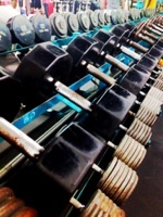 Your Body IS My Bussiness. Follow me on instagram @ FittCoachScott
