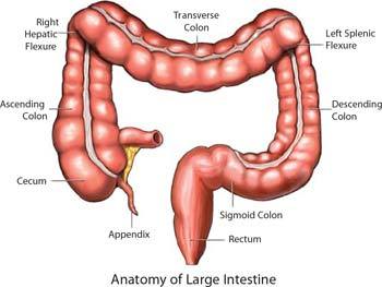 I alert Twitter users when they type Colon, when they actually (hopefully) meant Cologne. :)