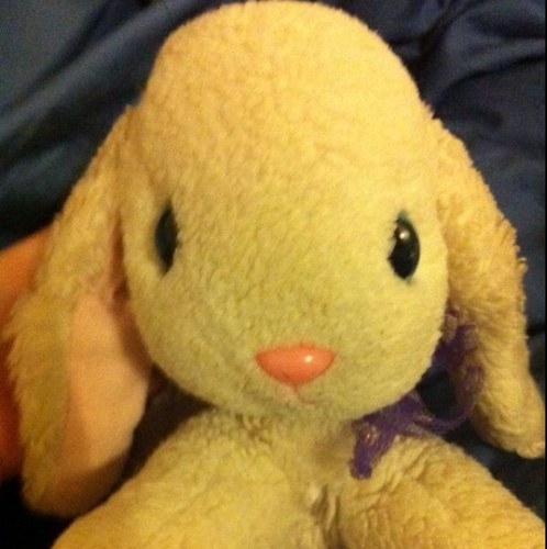 snowybunnytunks's profile picture. just a lil bunny in a very big world