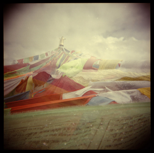 gmbfilms's profile picture. Goodmorningbeautiful Films produces critical stories from the edges of the world