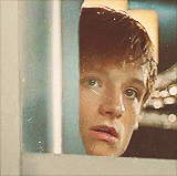 JoshHOTcherson4's profile picture. Suuuuuuuper fã de THG e BTR