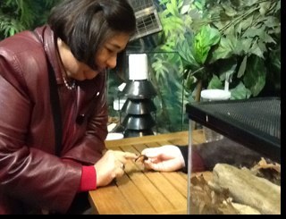 ZepedaDelia's profile picture. retired teacher