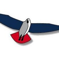 PVV Nederland (@pvvnederland) 's Twitter Profile