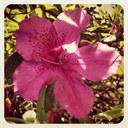 Sherry Walker - @Sherry_NC - Twitter