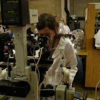 Kelly A. Hogan Ph.D. (@loose_lab_rat) 's Twitter Profile Photo Kelly A. Hogan Ph.D. (@loose_lab_rat) 's Twitter Profile Photo