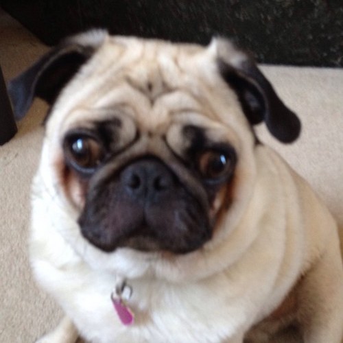 theramaker's profile picture. 