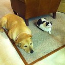 Mike Karr - @MikeKarrr - Twitter