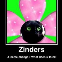CINDERS (@cindersrkitty) 's Twitter Profile