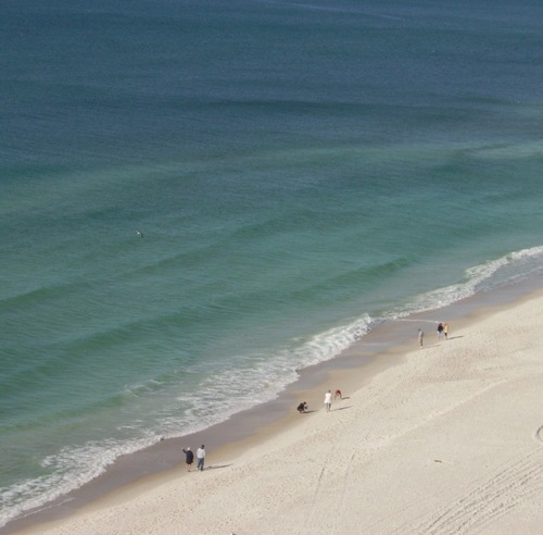 thiscondorocks's profile picture. Designer beach vacation condo at #PCB; into exceeding guest expectations; #interiordesign; and hanging out at the world's best #panamacitybeach beach!