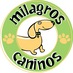 Milagros Caninos (@milagroscaninos) Twitter profile photo Milagros Caninos (@milagroscaninos) Twitter profile photo