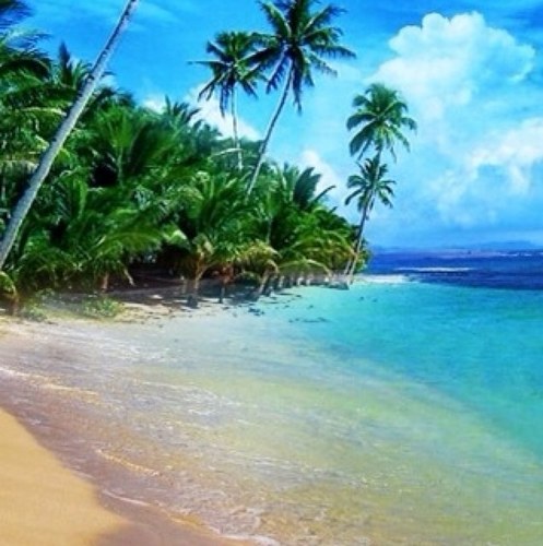 LorieSusan's profile picture. Director, Higher Education and Corporate Programs.  Providing Business Development solutions that enhance organizational effectiveness.