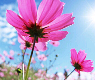 kris6789's profile picture. Easygoing