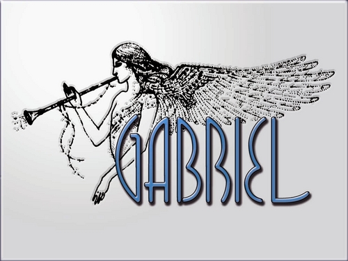 Gabriel Sound & Engineering. Providing professional Audio Video services & sales since 1975.