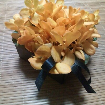 トム・グリーン茅ヶ崎
