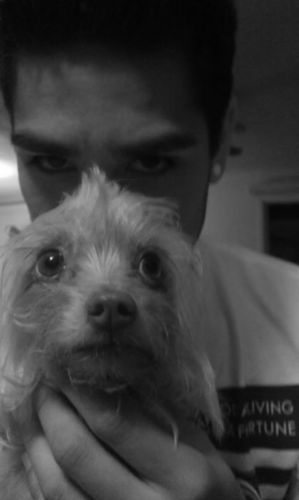 illperipheral24's profile picture. 