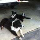 lisa renfroe - @renfroe_lisa - Twitter