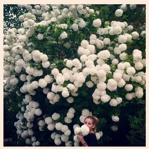 alex_lundell's profile picture. 