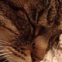 jaime hanson - @HansonJaime - Twitter