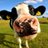 milk_4_life's profile image
