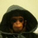 Ryan Luecke - @Tron_rlu - Twitter