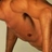 Nar_Shrar23's profile image