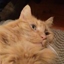 karin gilbert - @ksgilbert10 - Twitter