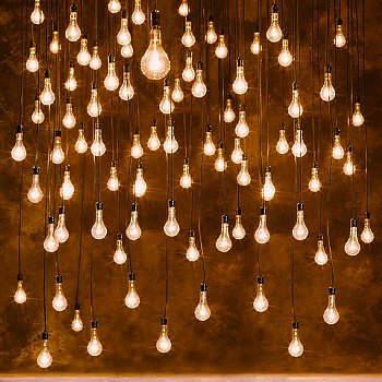 jatldi's profile picture. riesgo, adaptabilidad & constante cambio