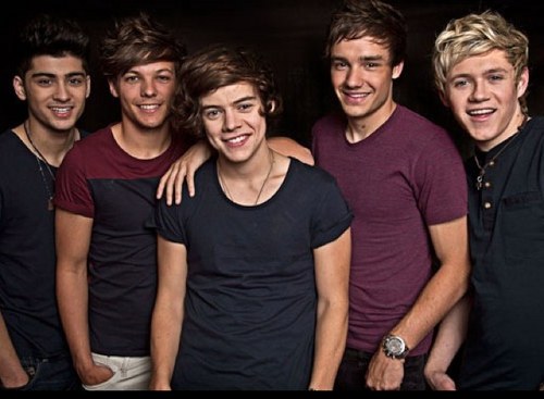 @OneDirection, the best boy band in the world! Follow us if you support Niall, Harry, Liam, Zayn and Louis