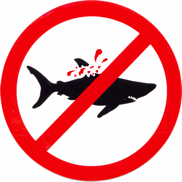 Twitter account to raise awareness of shark finning. By Spiros Xanthios #StopSharkFinning #TeamFollowBack