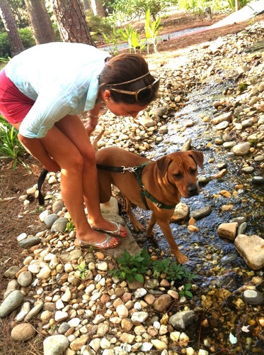 aWadesays's profile picture. elegantly disheveled.