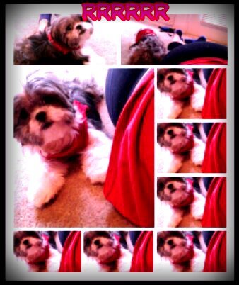 LuhWright's profile picture. Look me up on facebook simone wright and follow me on twitter not married to the game but married to tthe money! ! Well fwm doe #single bby