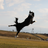 lightstone_blue's profile image