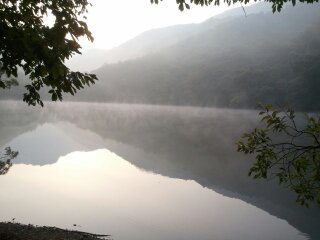 ShadowControl's profile picture. 