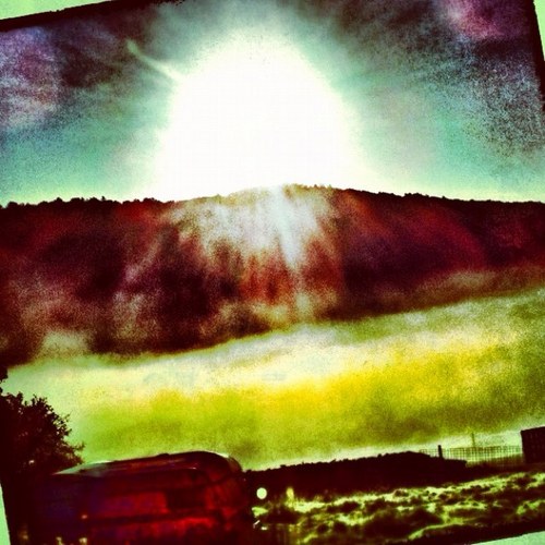 GechiPrime's profile picture. 