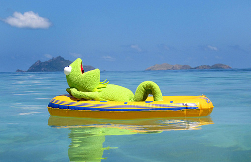 HelenOcallagha1's profile picture. Some people i love to be around, some i love to avoid and some i just love to punch in the face jokes(: