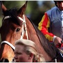 Claire Bird - @sunlinesslave - Twitter