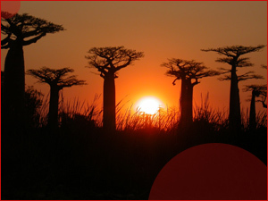 KALATIANA's profile picture. 