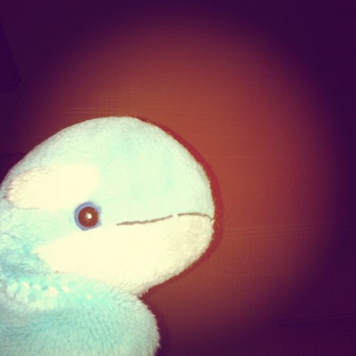Peachesthewale's profile picture. Cute whale, musician, sister, motivational speaker.
Run by Peaches' dad @godinpants