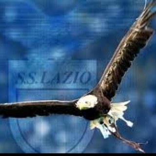 Daniel28912172's profile picture. 