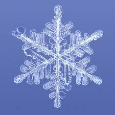 TaesunConfirm's profile picture. 보수우파의 승리를 위하여