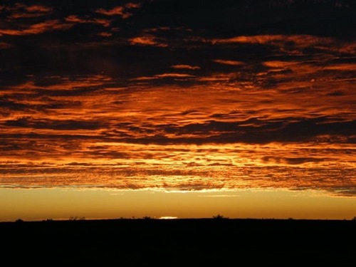 rglansdell's profile picture. 