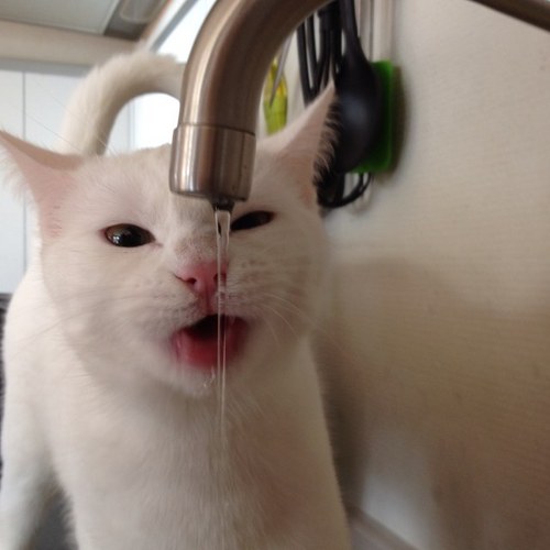 Coen1812's profile picture. 